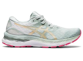 Asics Kadın GEL-NIMBUS 23 Koşu Ayakkabısı TR945YL